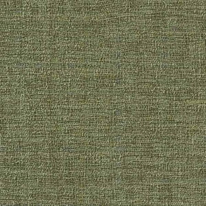 TQc/̂ǎENX TH32020y10Mzy݉iz