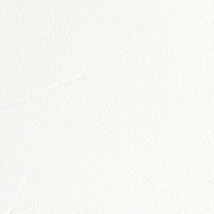 TQc/̂ǎENX TH32365y10Mzy݉iz