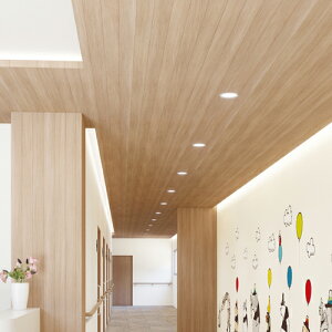 �T���Q�c/���̂���ǎ��E�N���X TH32433�y10M���z�y�������݉��i�z