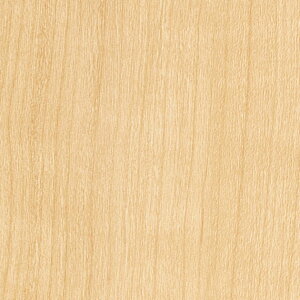 �T���Q�c/���̂���ǎ��E�N���X TH32622�y10M���z�y�������݉��i�z