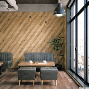 �T���Q�c/���̂���ǎ��E�N���X TH32675�y10M���z�y�������݉��i�z