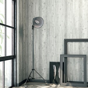 �T���Q�c/���̂���ǎ��E�N���X TH32717�y10M���z�y�������݉��i�z