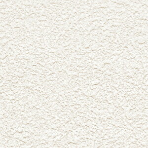 gL/̂ǎENX TWP9017y10Mzy݉iz