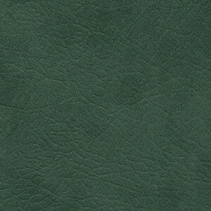 gL/̂ǎENX TWP9241y10Mzy݉iz