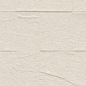 gL/̂ǎENX TWP9548y10Mzy݉iz