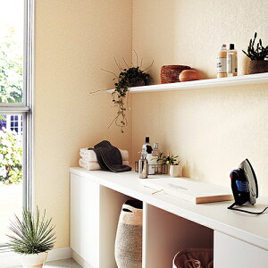 gL/̂ǎENX TWP9567y10Mzy݉iz