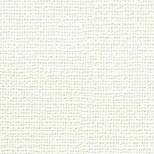 gL/̂ǎENX TWS8290y10Mzy݉iz