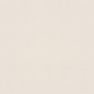 /̂ǎENX VS2049y10Mzy݉iz