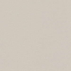 /̂ǎENX VS2060y10Mzy݉iz