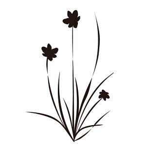 EH[XebJ[  yws-065z yA4z y1z yz ylR|Xz