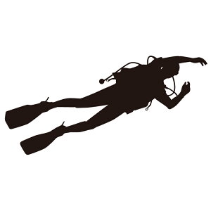 �E�H�[���X�e�b�J�[ �_�C�o�[002 �yws-123�z �y220mm×440mm�z �y1���z �y���������z