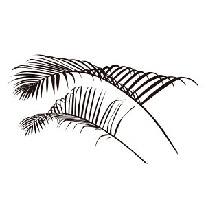 EH[XebJ[ AJV yws-176z y450mm×900mmz y1z yz