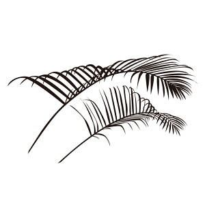 EH[XebJ[ AJV yws-252z y450mm×900mmz y1z yz