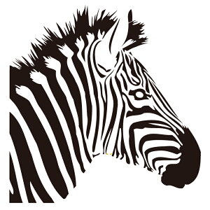 EH[XebJ[ [u yws-254z y220mm×230mmz y1z yz ylR|Xz