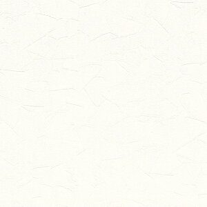 /̂ǎENX WVC876y10Mzy݉iz