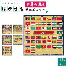 知育 シール 玩具 カベガキ 貼って剥がせる　45cm×45cm 2種から選べる | 国旗 マップ 日本 世界 落書き 教育 幼児教育 2歳 3歳 4歳 学習 教材 知育教材 保育 シール遊び 幼児期 集中力 入学準備 ウォールステッカー 貼ってはがせる はがせる カッティングシート