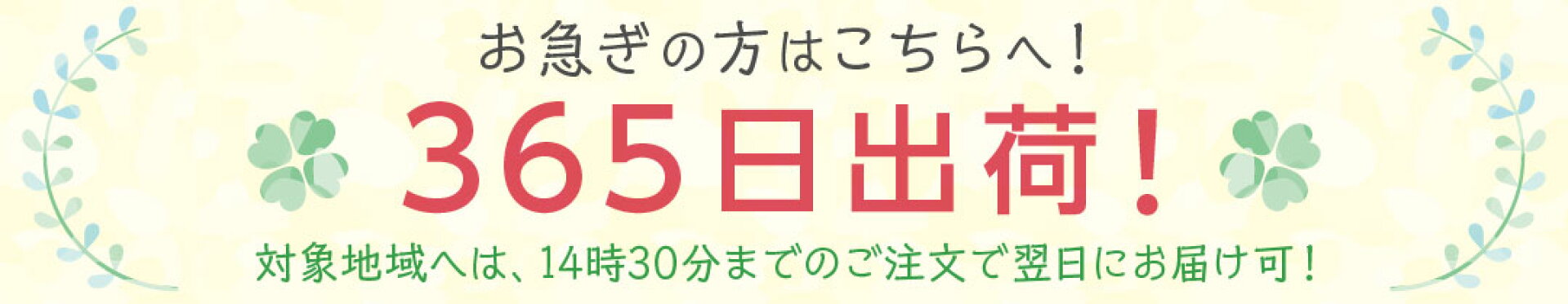 お急ぎの方はこちらで！365日出荷商品