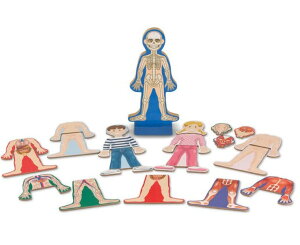 [] bT_O 24̃}Olbgs[X Ό^ l̉Uw vCZbg [gCt qǂ  bT_O Melissa  Doug [yVCOʔ]