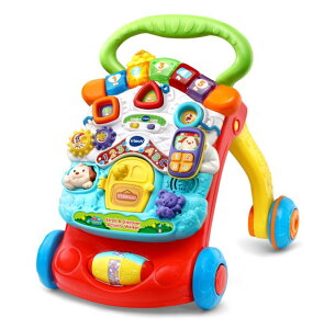[RDY] [] VTech 艟 ANeBreB  c Xg[[ Stroll and Discover Activity Walker Toy Walker for Babies AJ mߋ [yVCOʔ]