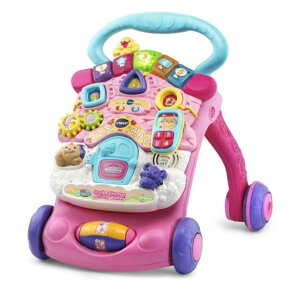 [] Vtech Stroll and Discover ANeBreB EH[J[ pl t 艟  c Xg[[ s mߋ CebN ̎q j̎q Ԃ xr[ c q