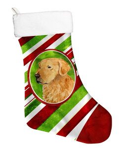 [RDY] [] Caroline's Treasures S[fgo[ LfBPC }`J[ NX}XXgbLO \tgXG[hngp 18C` [yVCOʔ] | Caroline's Treasures Golden Retrie