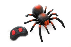[] RCԊON̂ [yVCOʔ] | RC Infrared Spider Toy