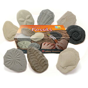 [] ΂𒲂ׂ悤 8 [yVCOʔ] | Let's Investigate Fossil Stone, Pack of 8