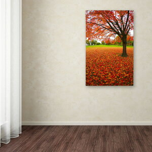 [RDY] [��������] Trademark Fine Art "Autumn Expressions" �L�����o�X�A�[�g by CATeyes [�y�V�C�O�ʔ�] | Trademark Fine Art "Autumn Expressions" Canvas Art by CATeyes