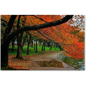 [RDY] [] Trademark Fine Art CATeyes̃LoXA[g Tidal Basin Autumn 2 [yVCOʔ] | Trademark Fine Art "Tidal Basin Autumn 2" Canvas Art by CATeyes