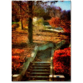 [RDY] [送料無料] Trademark Fine Art ロイス・ブライアン作 秋の階段 キャンバスアート [楽天海外通販] | Trademark Fine Art "Autumn Stairway" Canvas Art by Lois Bryan