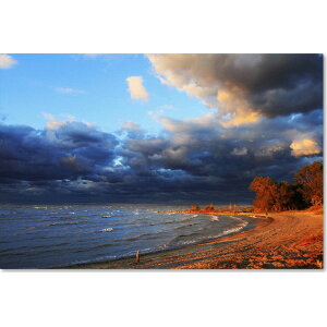 [RDY] [] Trademark Fine Art WFC\EVFCt@[ɂ G[΂̏H LoXA[g [yVCOʔ] | Trademark Fine Art "Lake Erie Autumn" Canvas Art by Jason Shaffer