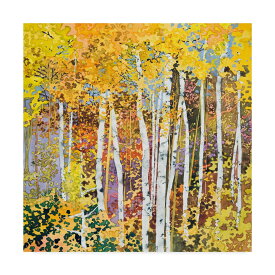[RDY] [送料無料] Trademark Fine Art シャロン・ピッツ作 Autumn Birches White キャンバスアート [楽天海外通販] | Trademark Fine Art 'Autumn Birches White' Canvas Art by Sharon Pitts