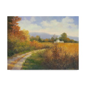 [RDY] [��������] Trademark Fine Art ���A���[�E�W�[���E�E�F�[�o�[�� �H�̓c�ɓ� �L�����o�X�A�[�g [�y�V�C�O�ʔ�] | Trademark Fine Art 'Autumn Country Road' Canvas Art by Mary Jean Weber