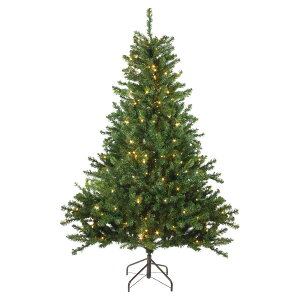 [RDY] [] Northlight vCgLEDlHJi_pC LhCgNX}Xc[ [yVCOʔ] | Northlight Pre Lit LED Artificial Canadian Pine Candlelight Christmas Tree