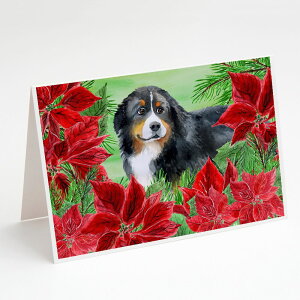 [RDY] [��������] Caroline's Treasures Bernese Mountain Dog Poinsettas Christmas Greeting Cards with Envelopes, 5" x 7" (8 Count) [�y�V�C�O�ʔ�] | Caroline's Treasures Bernese Mountain Dog Poinsettas Christmas Greeting Cards with Envelopes, 5" x