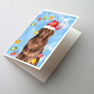 [RDY] [] Caroline's Treasures j[t@hh̃NX}XJ[hitjA5C` x 7C`i8JEg [yVCOʔ] | Caroline's Treasures Newfoundland Christmas Greeting Cards with Envelop