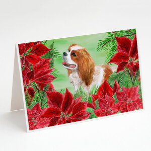 [] Caroline's Treasures Cavalier Spaniel Poinsettas Christmas Greeting Cards with Envelope, 5" x 7" (8 Count)iLoAEXpjGE|CZb^ENX}XEO[eBOJ[hjB [yVC