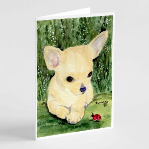 [��������] Caroline's Treasures �`�����̃O���[�e�B���O�J�[�h�A�����t���A5�C���`x7�C���`�i8�J�E���g�j [�y�V�C�O�ʔ�] | Caroline's Treasures Chihuahua Greeting Cards with Envelopes, 5 x 7 (8 Count)