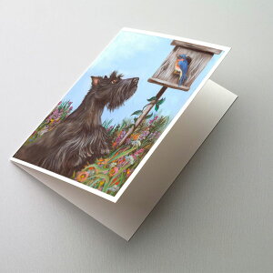 [RDY] [��������] Caroline's Treasures Scottie Curious Greeting Cards with Envelopes, 5 x 7 (8 Count) [�y�V�C�O�ʔ�] | Caroline's Treasures Scottie Curious Greeting Cards with Envelopes, 5 x 7 (8 Count)