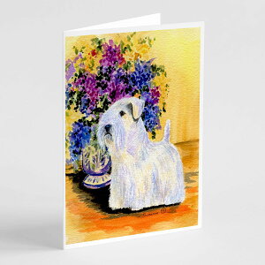 [RDY] [��������] Caroline's Treasures �V�[���n���e���A �O���[�e�B���O�J�[�h�i�����t���j�A5�C���` x 7�C���`�i8�J�E���g [�y�V�C�O�ʔ�] | Caroline's Treasures Sealyham Terrier Greeting Cards with Envelopes, 5 x