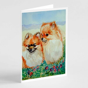 [RDY] [��������] Caroline's Treasures �|�����j�A���E�O���[�e�B���O�J�[�h�A�����t���A5�C���`x7�C���`�i8�J�E���g�j [�y�V�C�O�ʔ�] | Caroline's Treasures Pomeranian Greeting Cards with Envelopes, 5" x 7" (8 Count