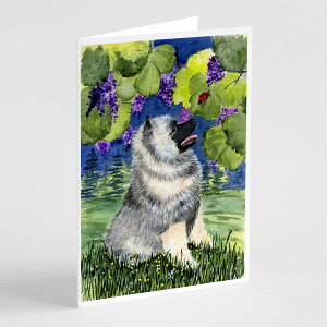 [��������] Caroline's Treasures Keeshond �O���[�e�B���O�J�[�h�i�����t���j�A5�C���` x 7�C���`�i8�J�E���g [�y�V�C�O�ʔ�] | Caroline's Treasures Keeshond Greeting Cards with Envelopes, 5" x 7" (8 Count)