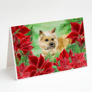 [] Caroline's Treasures PA[EeA |CZb^Y NX}XEO[eBOJ[h t 5C` x 7C`i8gj [yVCOʔ] | Caroline's Treasures Cairn Terrier Poinsett