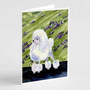 [RDY] [��������] Caroline's Treasures �v�[�h���̃O���[�e�B���O�J�[�h�A�����t���A5�C���` x 7�C���`�i8�J�E���g�j [�y�V�C�O�ʔ�] | Caroline's Treasures Poodle Greeting Cards with Envelopes, 5" x 7" (8 Count)