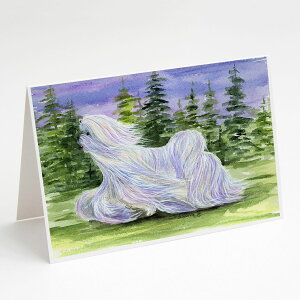 [��������] Caroline's Treasures �}���`�[�Y�E�O���[�e�B���O�J�[�h�A�����t���A5�C���`x7�C���`�i8�J�E���g�j [�y�V�C�O�ʔ�] | Caroline's Treasures Maltese Greeting Cards with Envelopes, 5 x 7 (8 Count)