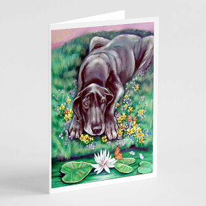 [RDY] [] Caroline's Treasures u[EO[gEf[ O[eBOJ[hitjA5C` x 7C`i8JEg [yVCOʔ] | Caroline's Treasures Blue Great Dane Greeting Cards with Enve
