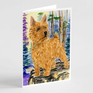 [��������] Caroline's Treasures �m�[���b�`�E�e���A �O���[�e�B���O�J�[�h�i�����t���j�A5�C���` x 7�C���`�i8�J�E���g [�y�V�C�O�ʔ�] | Caroline's Treasures Norwich Terrier Greeting Cards with Envelopes, 5"