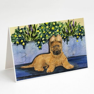 [��������] Caroline's Treasures �u���A�[�� �O���[�e�B���O�J�[�h �����t�� 5�C���` x 7�C���`�i8�J�E���g�j [�y�V�C�O�ʔ�] | Caroline's Treasures Briard Greeting Cards with Envelopes, 5" x 7" (8 Count)