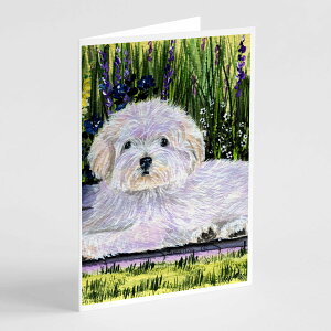 [��������] Caroline's Treasures Coton de Tulear �O���[�e�B���O�J�[�h�i�����t���j�A5�C���` x 7�C���`�i8�J�E���g [�y�V�C�O�ʔ�] | Caroline's Treasures Coton de Tulear Greeting Cards with Envelopes, 5" x 7" (8 Cou