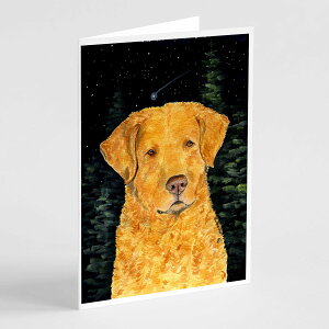 [��������] Caroline's Treasures Starry Night Chesapeake Bay Retriever Greeting Cards with Envelopes, 5" x 7" (8 Count) [�y�V�C�O�ʔ�] | Caroline's Treasures Starry Night Chesapeake Bay Retriever Greeting Cards with Envelopes, 5" x 7" (8 C